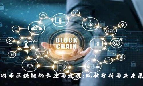 比特币区块链的长度与发展:现状分析与未来展望
