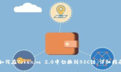 如何在Tokenim 2.0中切换到BSC链:详细指南
