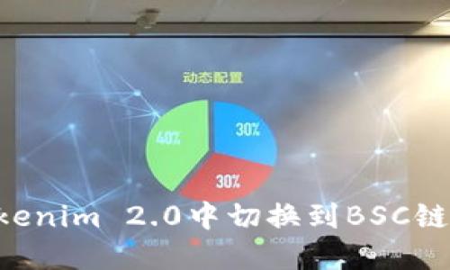 如何在Tokenim 2.0中切换到BSC链:详细指南