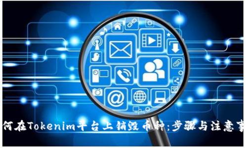 如何在Tokenim平台上销毁币种:步骤与注意事项