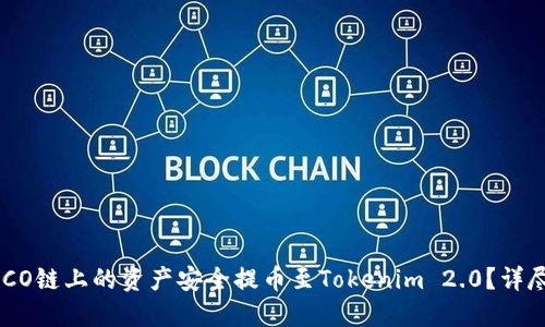如何将HECO链上的资产安全提币至Tokenim 2.0？详尽操作指南