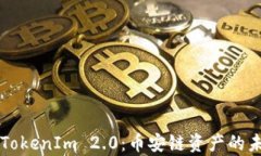 全面解析TokenIm 2.0:币安链资产的未来与潜力