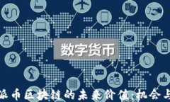 探讨派币区块链的未来价值:机会与挑战