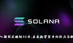 深入解析区块链BS币:未来数字货币的潜力与挑战