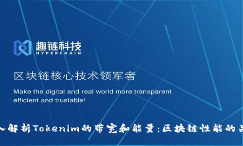 深入解析Tokenim的带宽和能量:区块链性能的关键