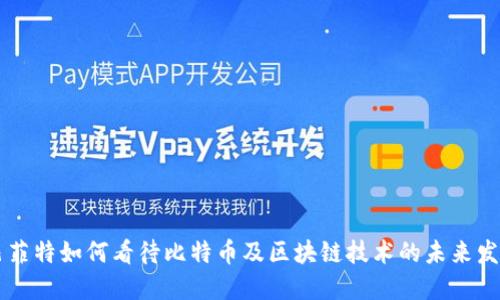 巴菲特如何看待比特币及区块链技术的未来发展